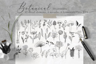 Elevate Your Projects with Floral Botanical Illustrations