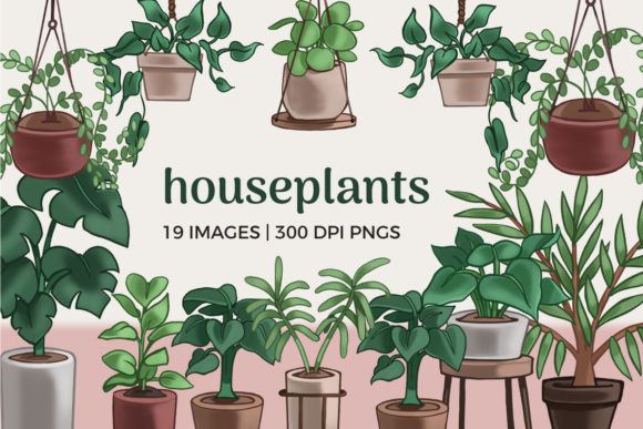 Houseplants Clipart Illustrations: 19 Digital Design Assets