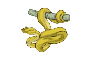 Snake Illustrations: A Dynamic Asset for Modern Designers