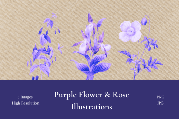 Stunning Purple Flower & Rose Illustrations for Every Project