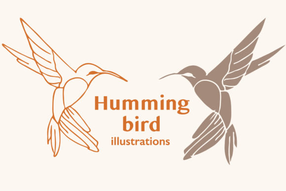 Two Humming Bird Vector Illustrations: A Designer's Guide